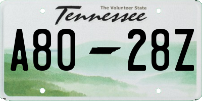 TN license plate A8028Z