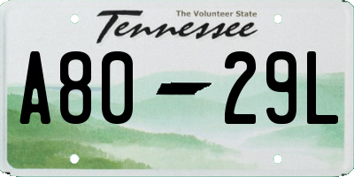 TN license plate A8029L