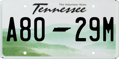 TN license plate A8029M