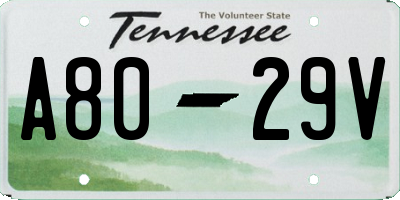 TN license plate A8029V