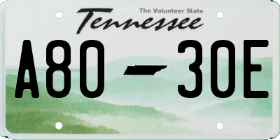 TN license plate A8030E