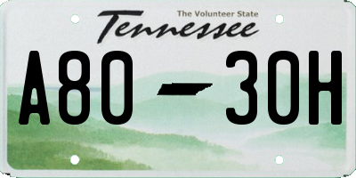 TN license plate A8030H