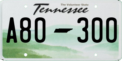 TN license plate A8030O