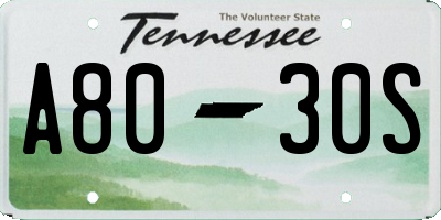 TN license plate A8030S