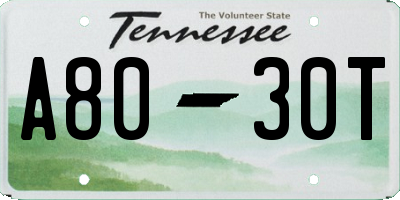 TN license plate A8030T