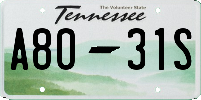 TN license plate A8031S