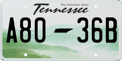 TN license plate A8036B