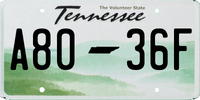 TN license plate A8036F