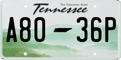 TN license plate A8036P