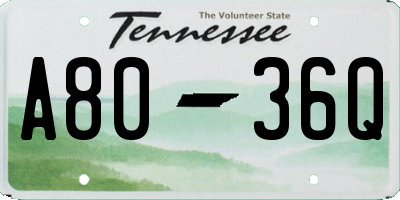 TN license plate A8036Q