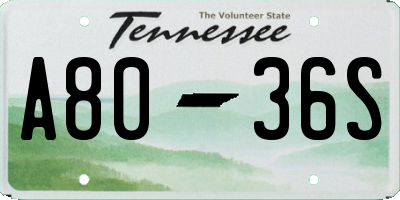 TN license plate A8036S