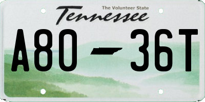 TN license plate A8036T