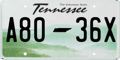 TN license plate A8036X