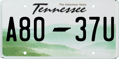 TN license plate A8037U