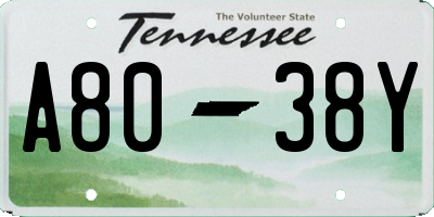 TN license plate A8038Y