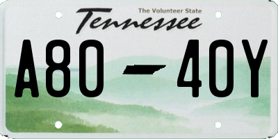 TN license plate A8040Y