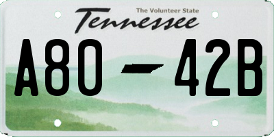 TN license plate A8042B