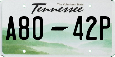TN license plate A8042P