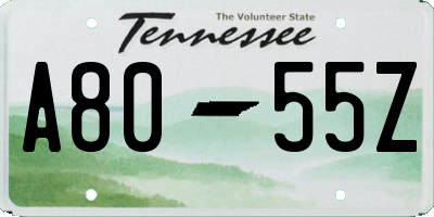 TN license plate A8055Z