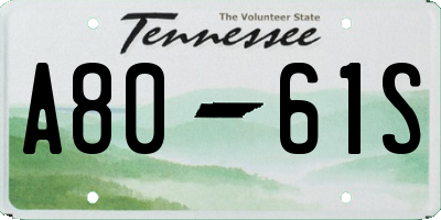 TN license plate A8061S