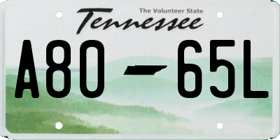 TN license plate A8065L