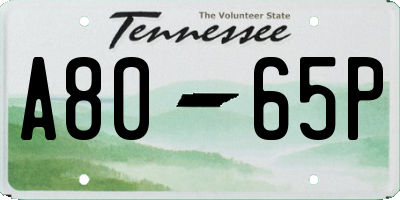 TN license plate A8065P