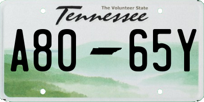 TN license plate A8065Y