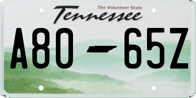 TN license plate A8065Z