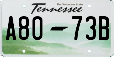 TN license plate A8073B