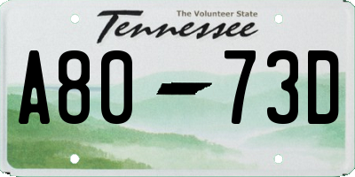 TN license plate A8073D