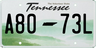 TN license plate A8073L