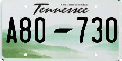 TN license plate A8073O
