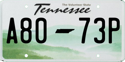 TN license plate A8073P