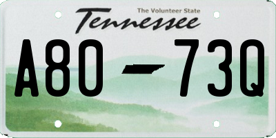 TN license plate A8073Q