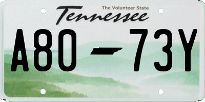 TN license plate A8073Y