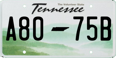 TN license plate A8075B
