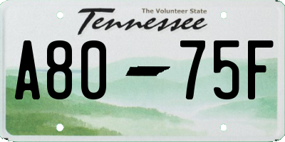 TN license plate A8075F