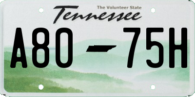 TN license plate A8075H