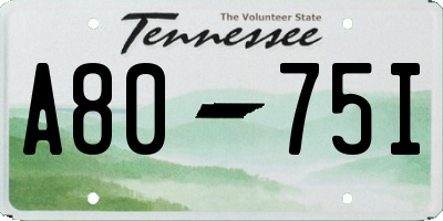TN license plate A8075I