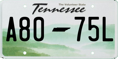 TN license plate A8075L