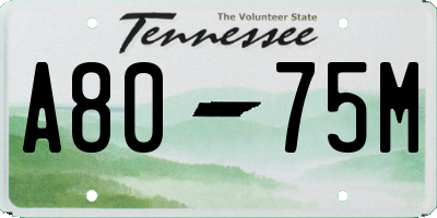 TN license plate A8075M