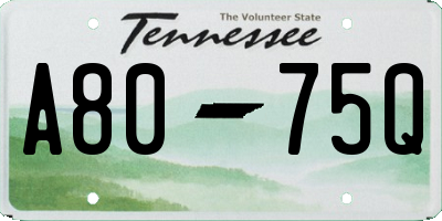 TN license plate A8075Q
