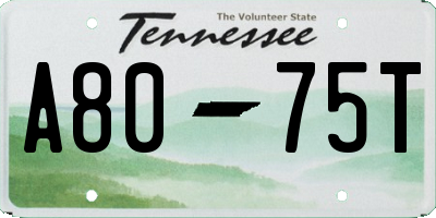 TN license plate A8075T
