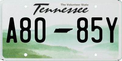 TN license plate A8085Y