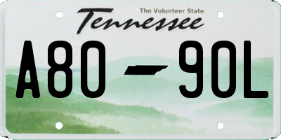 TN license plate A8090L