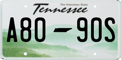 TN license plate A8090S