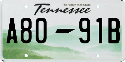 TN license plate A8091B