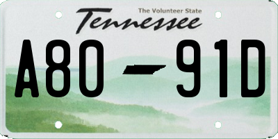 TN license plate A8091D