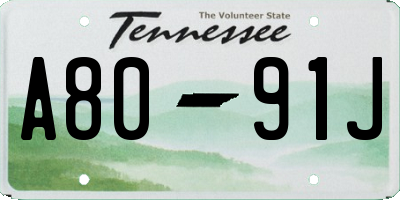 TN license plate A8091J