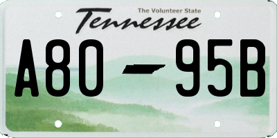 TN license plate A8095B